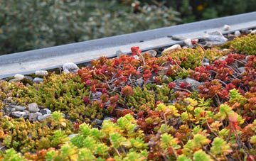 the cost of Channels End green roof installation