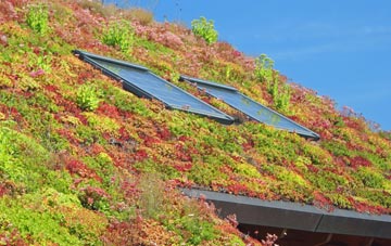 Channels End living roof systems