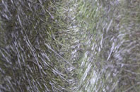 Channels End fibreglass roof work